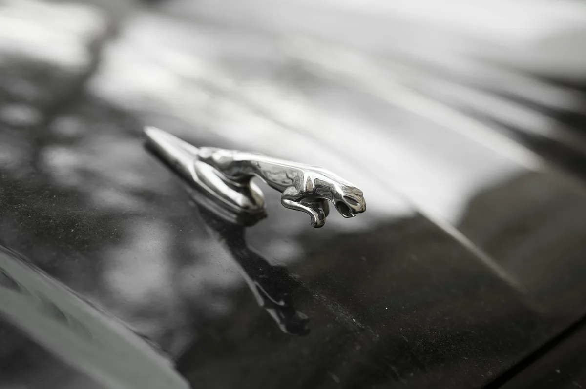 Detailing specialist working on vehicle paintwork